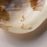 925 Silver Pearl Drop Earrings - Image 6