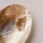 925 Silver Pearl Drop Earrings - Image 2