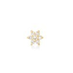 925 Silver 0.25ct Diamond Flower Stud Earring