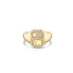 925 Silver Diamond Small Rectangular Tricon Signet Ring